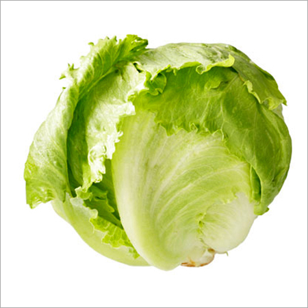 Iceberg Lettuce