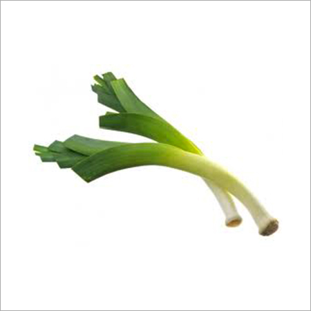 Leek