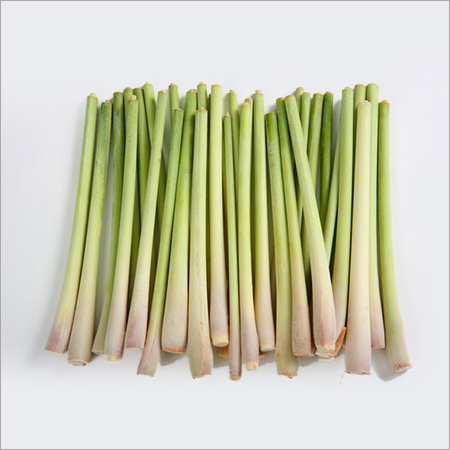 Lemon Grass