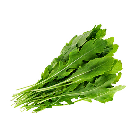 Rocket Lettuce