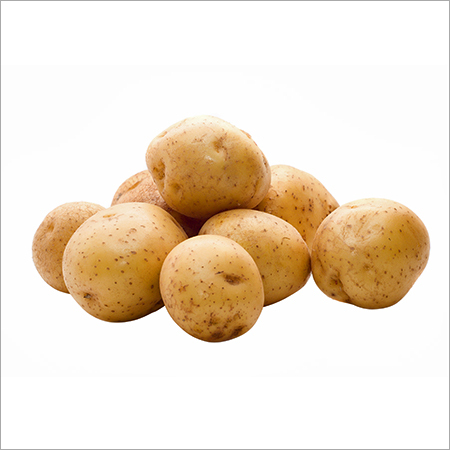 Fresh Potatoes