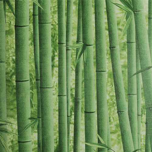 Bamboo Wallpaper