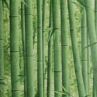 Bamboo Wallpaper