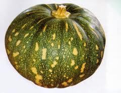 pumpikin