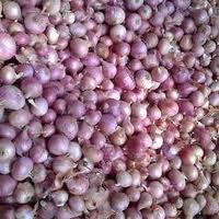 small onion