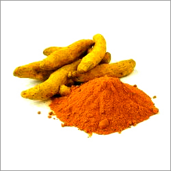 Fresh Turmeric Powder