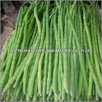 Moringa Oleifera Fruit