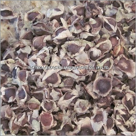 Moringa Oleifera Seeds
