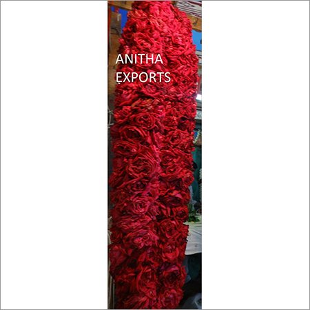Red Rose Garland Size: Small To Large