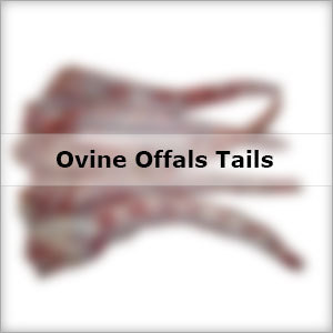 Ovine Offals Tails