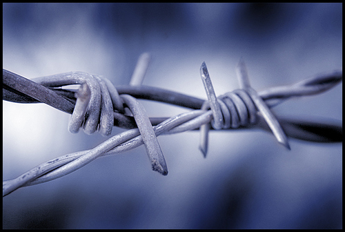 Silver Razor Barbed Wire