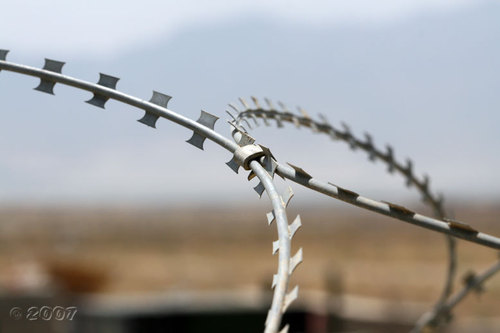 Silver Concertina Razor Wire