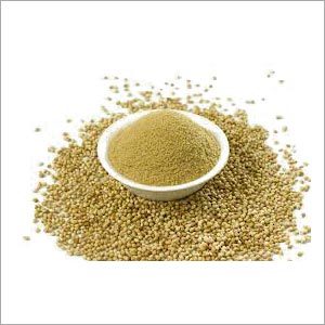 Coriander Powder