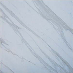 White Statuario Marble