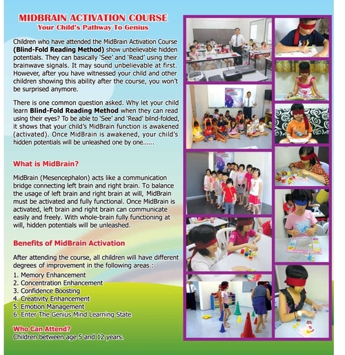 Mid Brain Activation Course Benefits