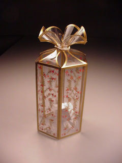 PVC Folding Boxes