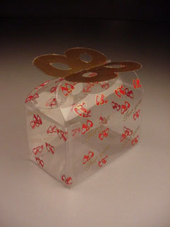 PVC Folding Boxes
