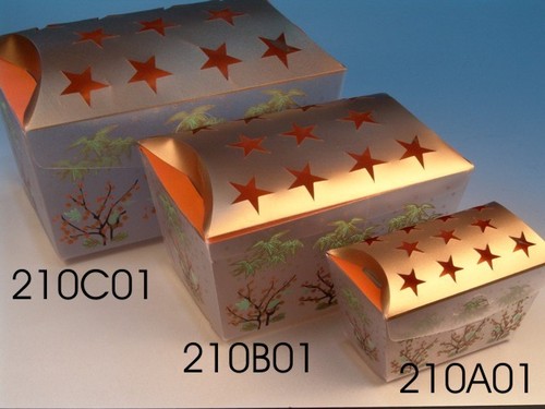 PVC Folding Boxes