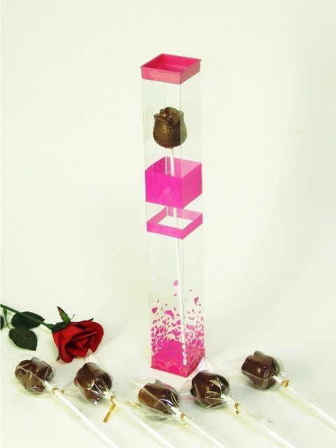 PVC Folding Boxes
