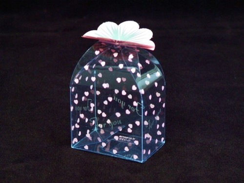 PVC Folding Boxes