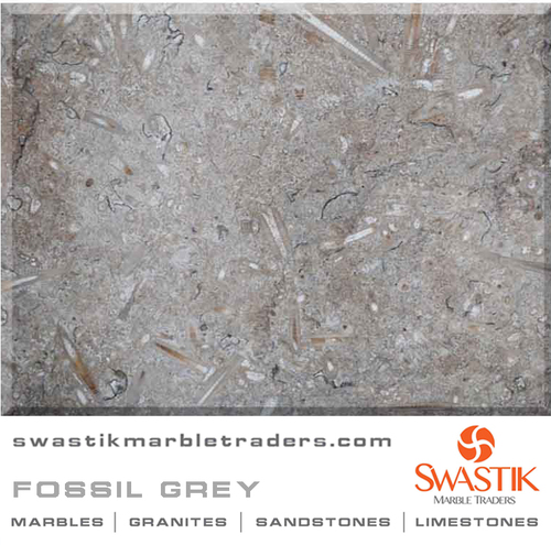 Fossil Gray Marble