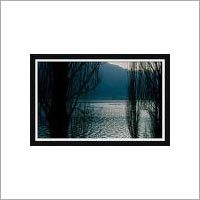 Environmental Management Services