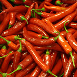 Red Chilli