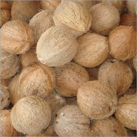 Organic Indian Husk Coconuts
