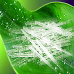 Iso Menthol Crystals