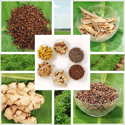 Spices & herbs