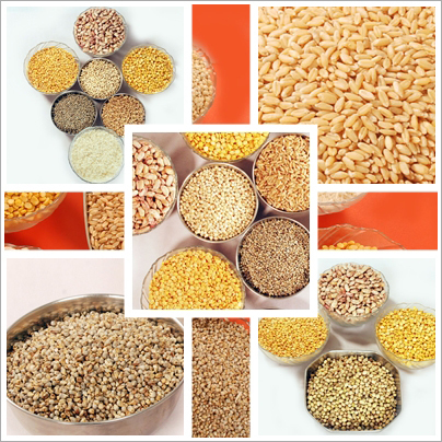 Food grains