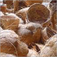 Coconut Shell