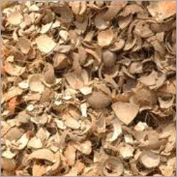 Dry Coconut Shell