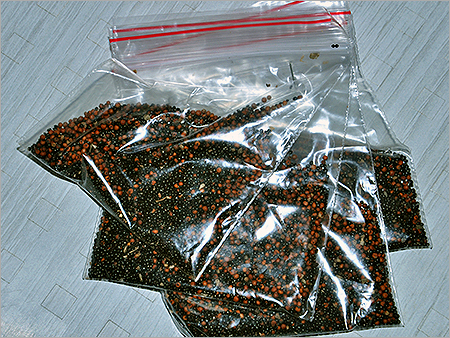 Packaged Barberry Seeds