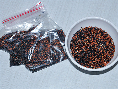 Red Barberry Seeds