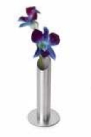 Stainless Steel Flower Pot