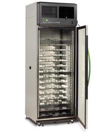 Seed Germinator