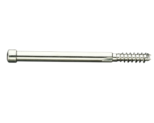 LEG SCREW P.F.N. BOLT