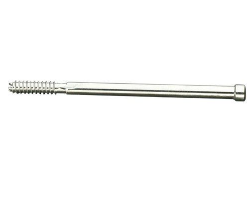 LEG SCREW P.F.N. BOLT