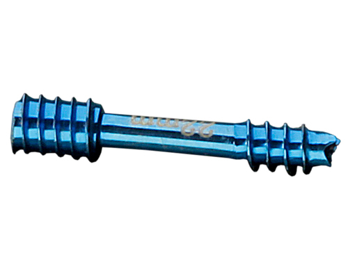 HERBERT SCREW