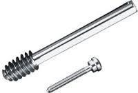 DHS Leg Screw
