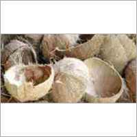Coconut Shells