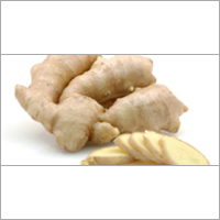 Fresh Green Ginger