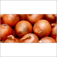 Fresh Red Onions