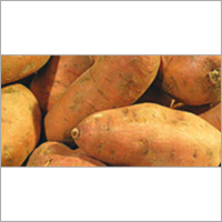 Fresh Vegetables