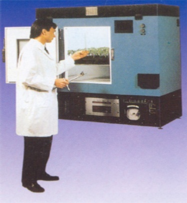 Walk In - Incubator