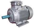 Electric Motor