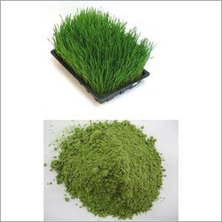 Food & Health Product