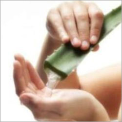 Aloe Vera Powder