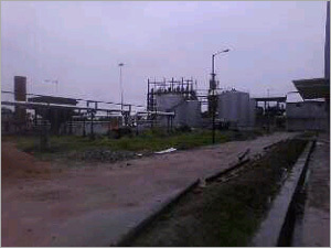 Startup Commissioning Services